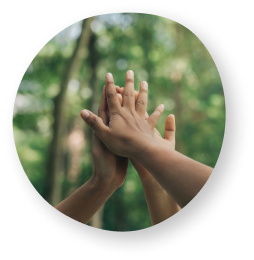 Three hands high-fiving against a backdrop of green trees, symbolizing teamwork and support.